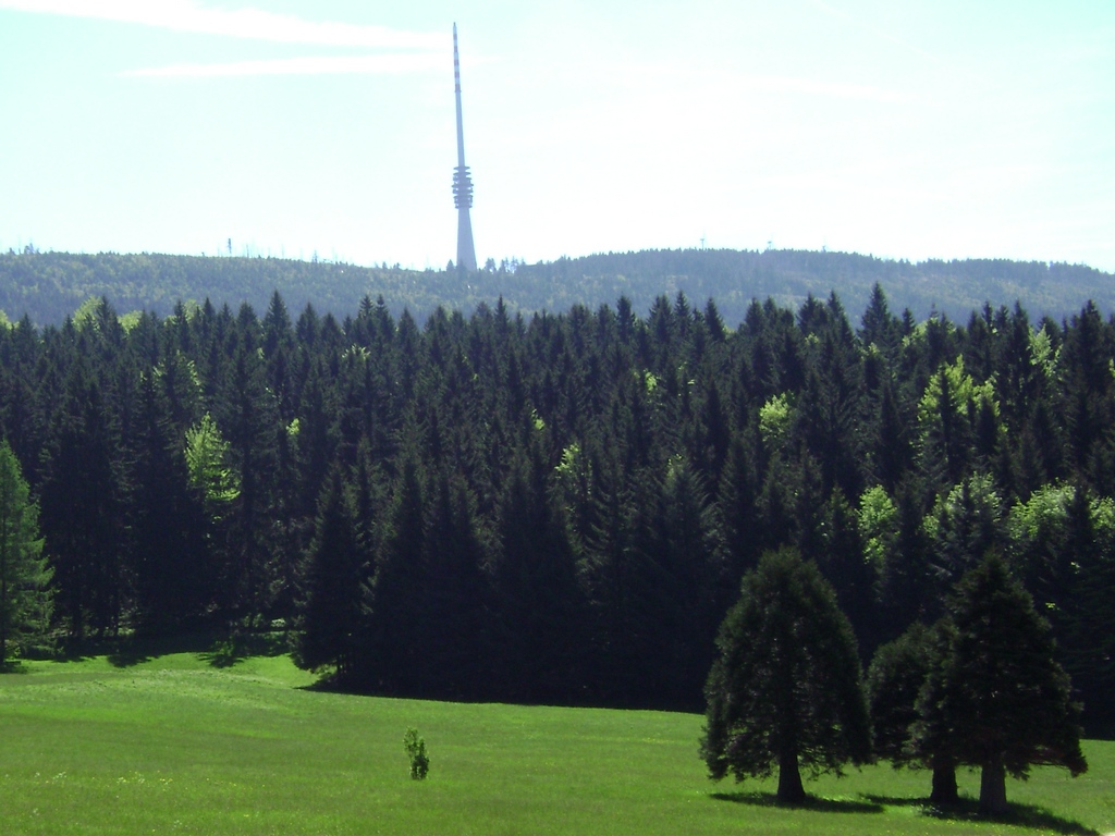 Blick zum Hornisgrinde-Sendeturm