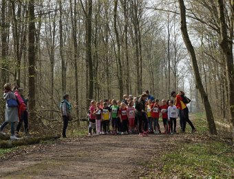 2019-03-24 (12-28-56).jpg