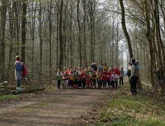 2019-03-24 (12-31-25).jpg