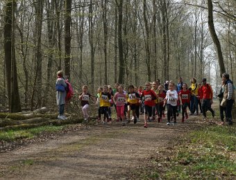 2019-03-24 (12-31-27).jpg