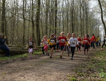 2019-03-24 (12-31-28).jpg