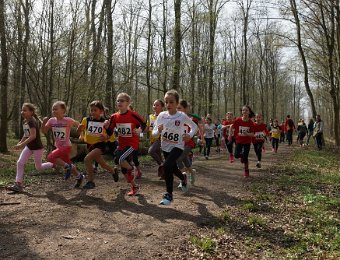 2019-03-24 (12-31-29).jpg