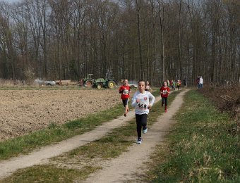 2019-03-24 (12-34-15).jpg