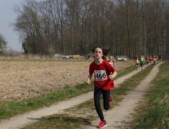 2019-03-24 (12-34-19).jpg