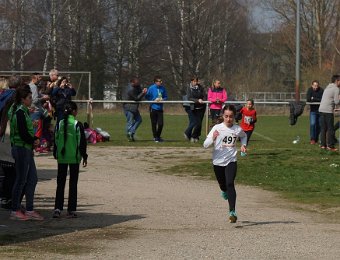 2019-03-24 (13-00-08).jpg