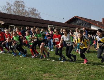 2019-03-24 (13-16-05).jpg