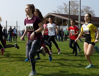 2019-03-24 (13-43-02).jpg