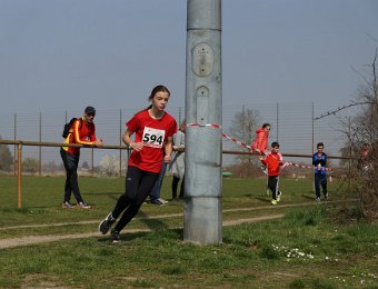 2019-03-24 (13-51-39).jpg